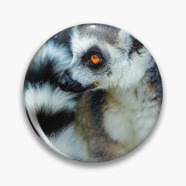 Item preview, Just look at my tail! designed and sold by Dalyndigital Photography.