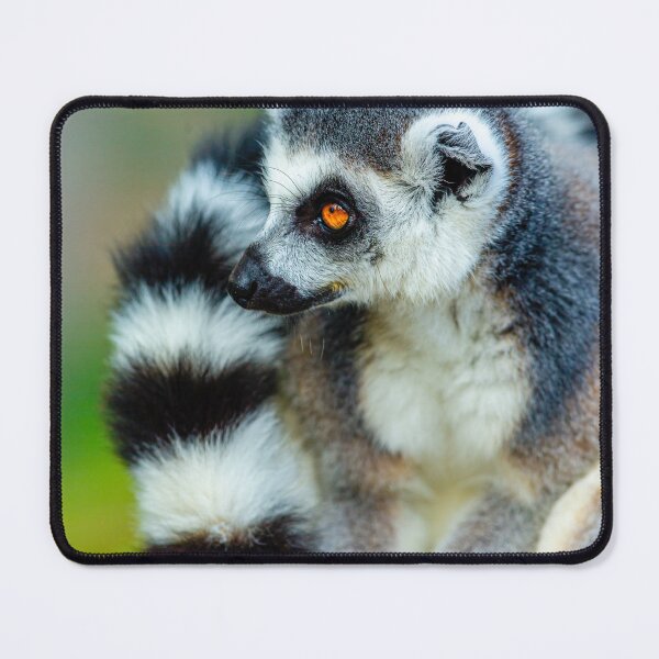 Item preview, Just look at my tail! designed and sold by Dalyndigital Photography.