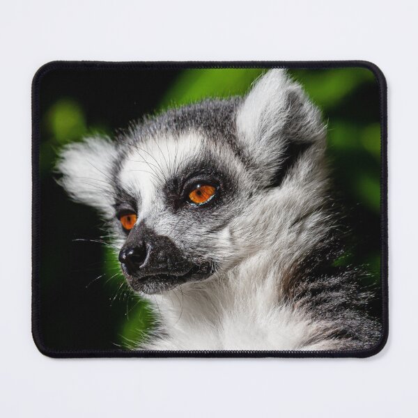 Item preview, The Lemur Look! designed and sold by Dalyndigital Photography.
