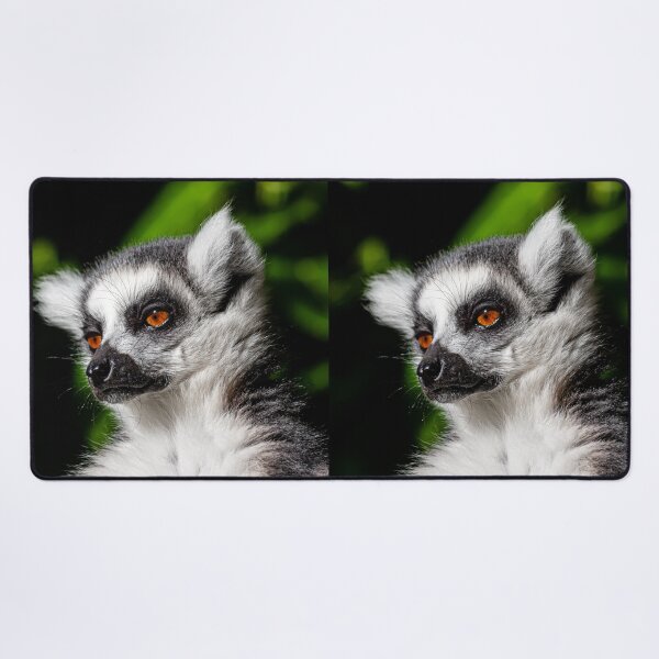 Item preview, The Lemur Look! designed and sold by Dalyndigital Photography.