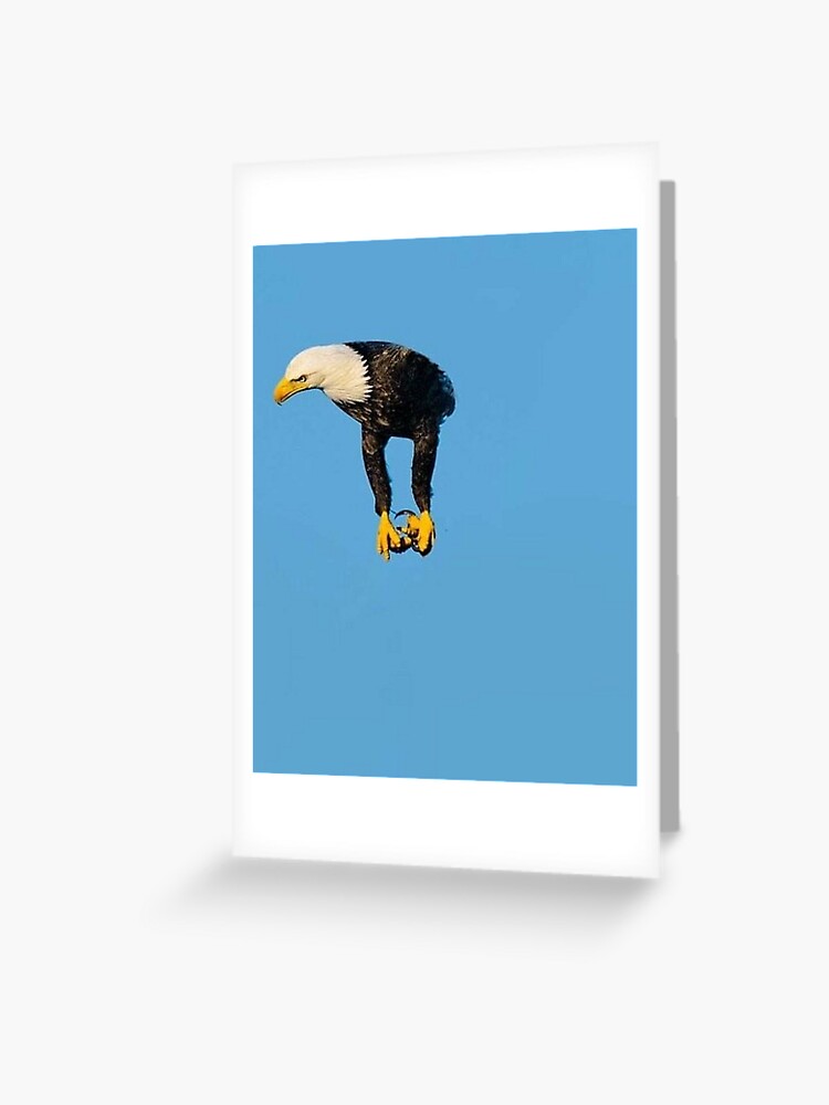 Adler Ohne Flugel Meme Grusskarte Von Sp00kem Redbubble