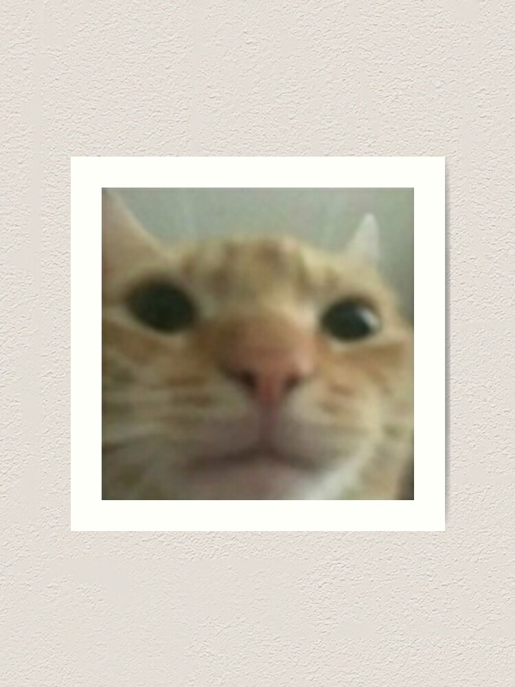 Ugley Cat Too Close To Camera Shitpost Art Print By Sp00kem Redbubble