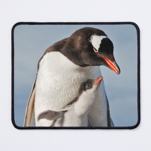 Item preview, Flying Gentoo Chick iPad Case designed and sold by Krys Bailey.