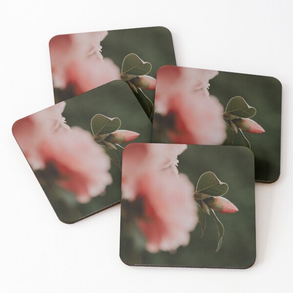 Item preview, Beautiful Pink Flower Pud designed and sold by LoulabellaPhoto.