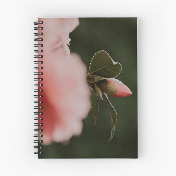 Item preview, Beautiful Pink Flower Pud designed and sold by LoulabellaPhoto.
