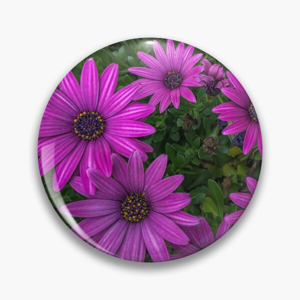 Item preview, A hedge of flowers designed and sold by E-Elemental.