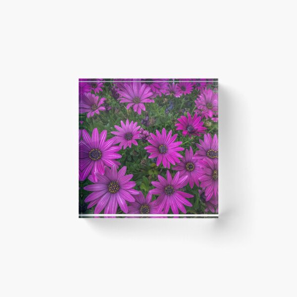 Item preview, A hedge of flowers designed and sold by E-Elemental.
