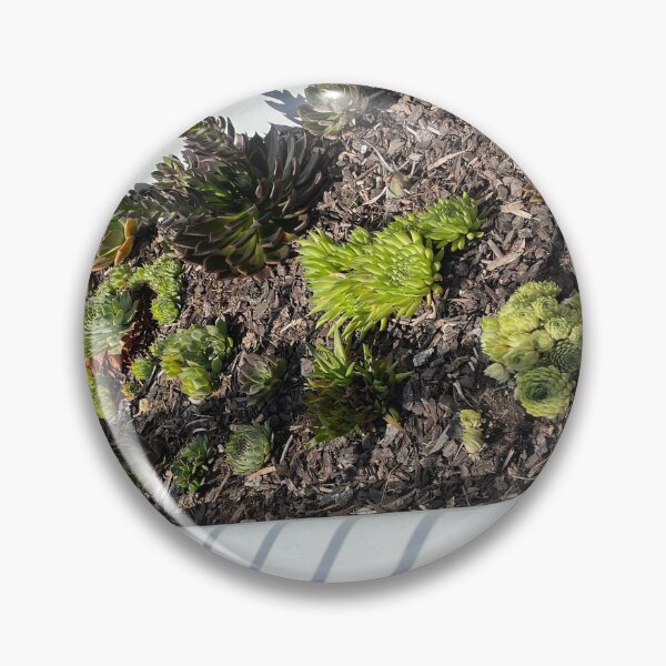 Item preview, Bath of Succulents designed and sold by KazM.