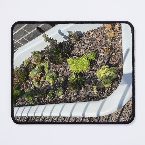 Item preview, Bath of Succulents designed and sold by KazM.