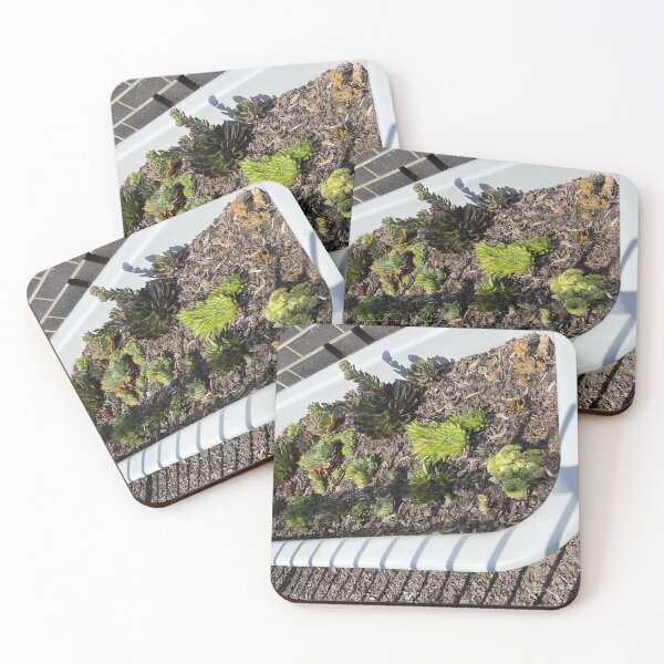 Item preview, Bath of Succulents designed and sold by KazM.