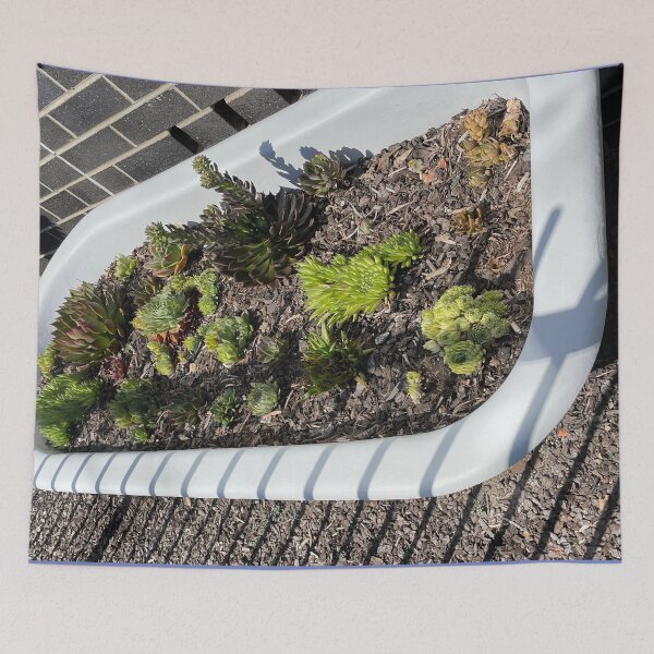 Item preview, Bath of Succulents designed and sold by KazM.