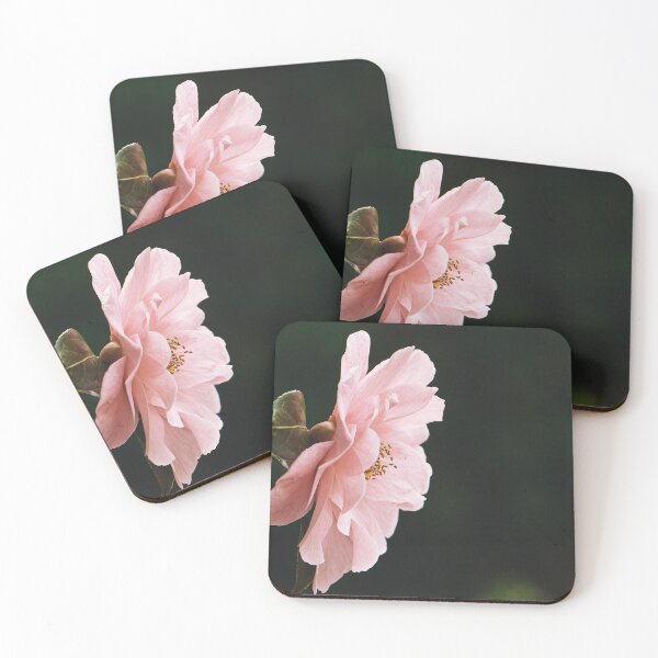Item preview, Beautiful Pink Flower #4 designed and sold by LoulabellaPhoto.