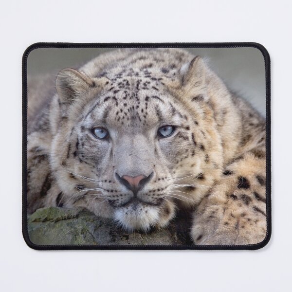 Item preview, Vishnu Snow Leopard iPad Case designed and sold by Krys Bailey.