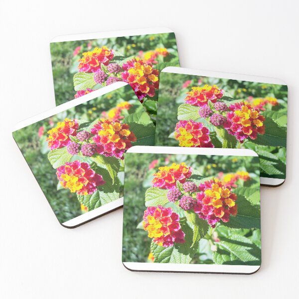 Item preview, Pink and Yellow designed and sold by Schummi.