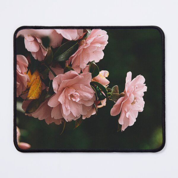Item preview, Beautiful Pink Flower #5 designed and sold by LoulabellaPhoto.