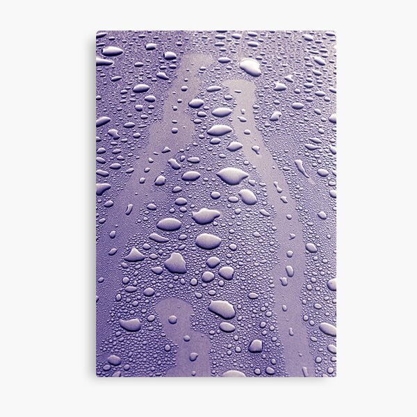 Morning Metal Print