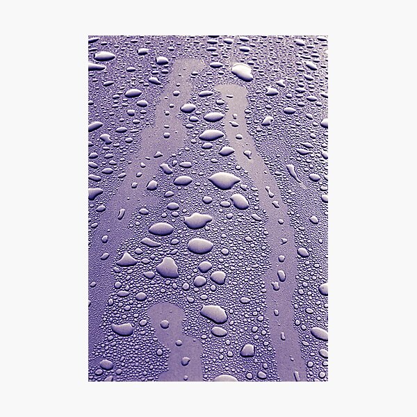 Morning Photographic Print