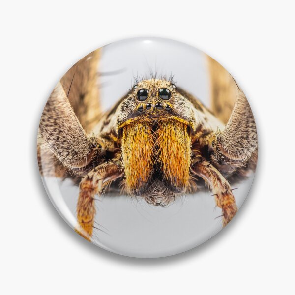 Item preview, Wandering Spider. designed and sold by LoboJC.