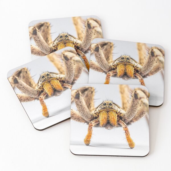 Item preview, Wandering Spider. designed and sold by LoboJC.