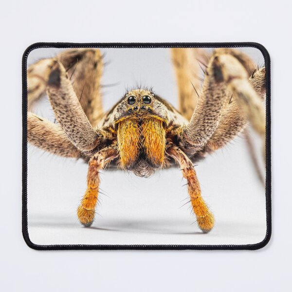 Item preview, Wandering Spider. designed and sold by LoboJC.