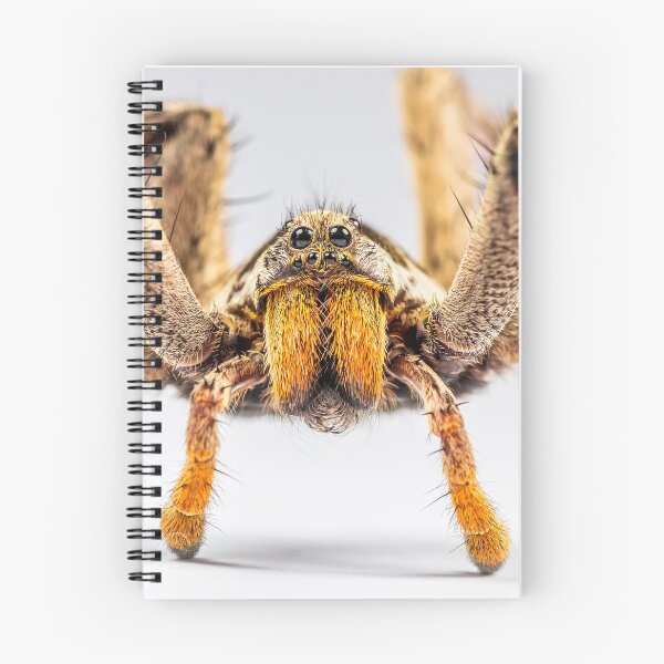 Item preview, Wandering Spider. designed and sold by LoboJC.