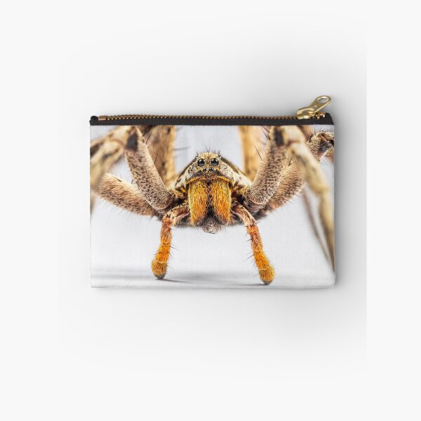 Item preview, Wandering Spider. designed and sold by LoboJC.