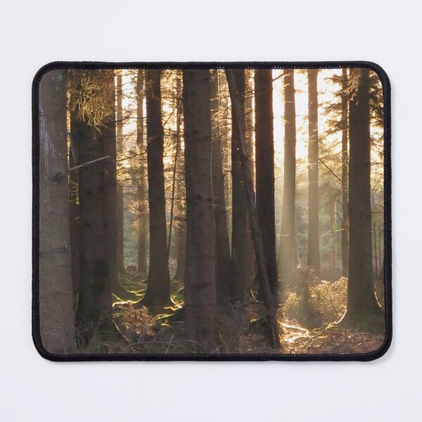 Item preview, It's the Summertime | Forest of Dean, United Kingdom, 2018 designed and sold by Callum Brankin.