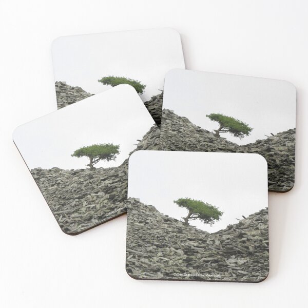Item preview, Nature Finds a Way | Lake District, England, United Kingdom, 2021 designed and sold by Callum Brankin.