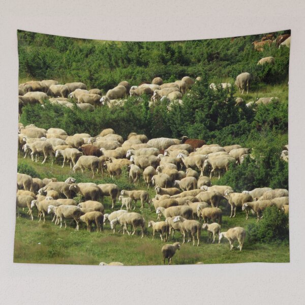 Item preview, Montenegrin Sheep designed and sold by Meekly-Shop.