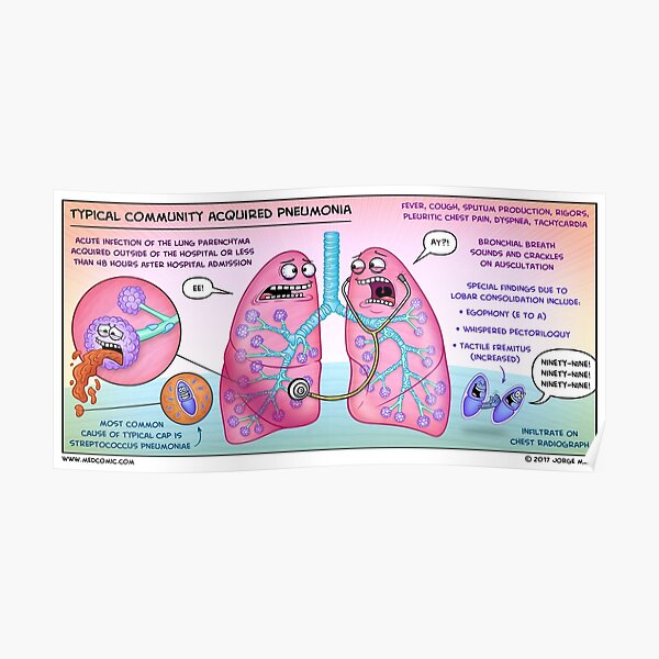 Typical Community Acquired Pneumonia Poster