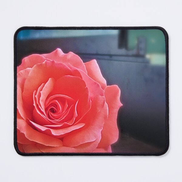 Item preview, Rustic Elegance: A Pink Rose in an Old Cabin designed and sold by Justin Cobb.