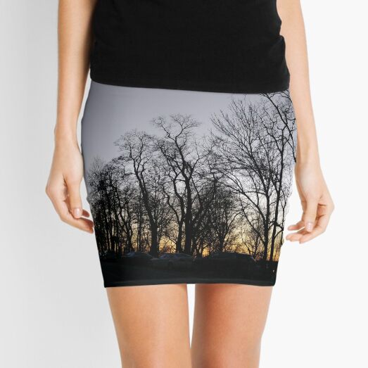 Sunset Mini Skirt