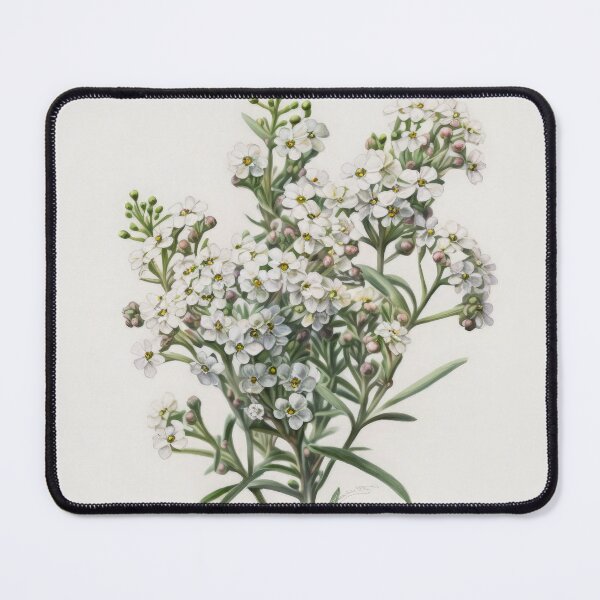 Item preview, Alyssum Flowers designed and sold by Vanover Designs.