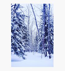 Winter Fotodruck