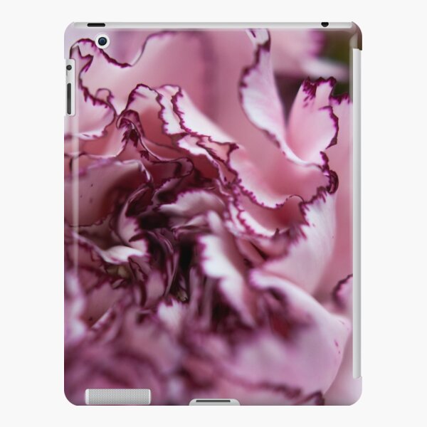 Purple-Edged Carnation iPad Snap Case