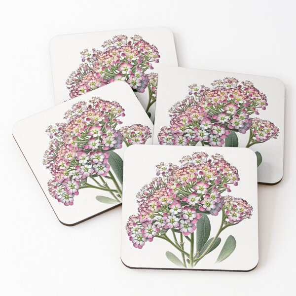 Item preview, Alyssum Flowers  designed and sold by Vanover Designs.