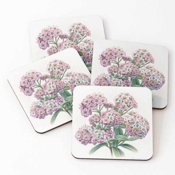 Item preview, Alyssum Flowers  designed and sold by Vanover Designs.