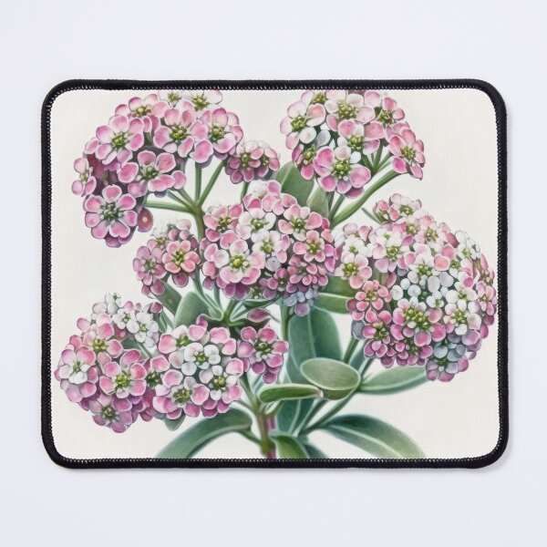 Item preview, Alyssum Flowers designed and sold by Vanover Designs.