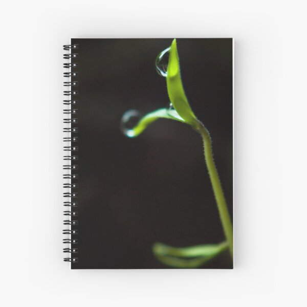 Dew Drops on Sprout Spiral Notebook