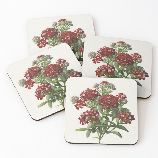 Item preview, Alyssum Flowers  designed and sold by Vanover Designs.