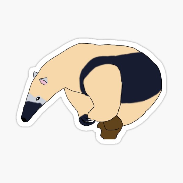 Tamandua cartoon illustration Sticker for Sale by Misscartoon