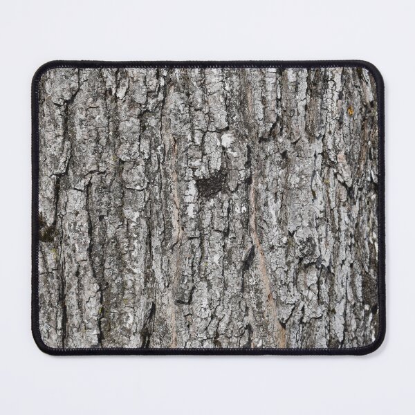 Item preview, A maple bark designed and sold by Claude Laprise.