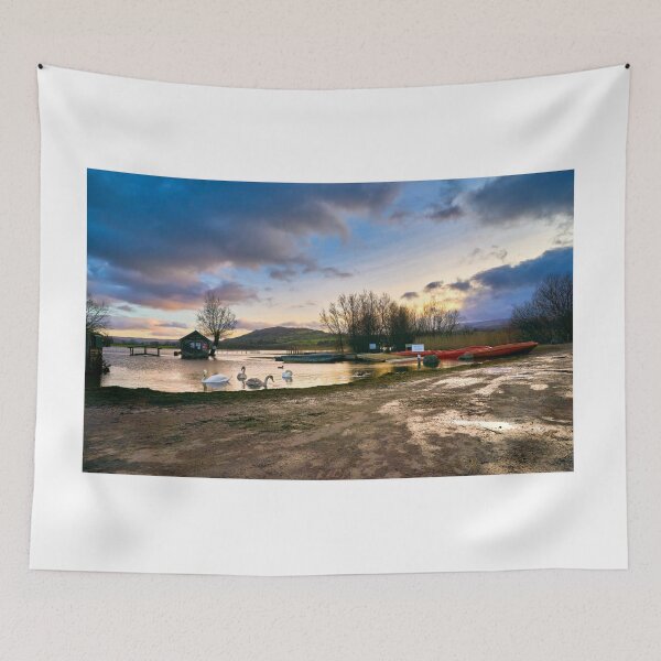 Item preview, Swans on Llangorse Lake South Wales at sunset  designed and sold by VnGphoto.