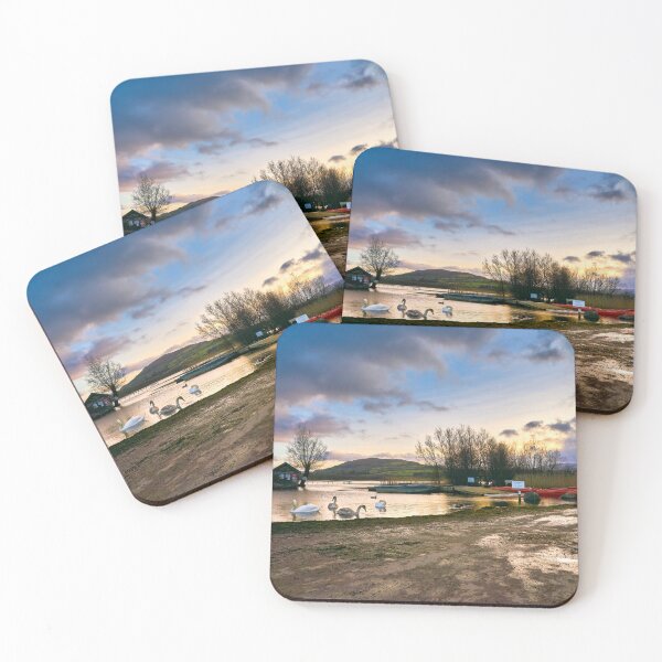 Item preview, Swans on Llangorse Lake South Wales at sunset  designed and sold by VnGphoto.