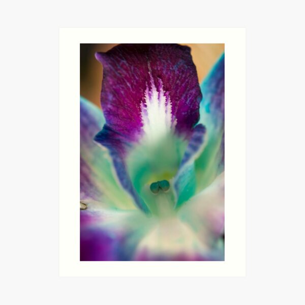 Bright Orchid Art Print