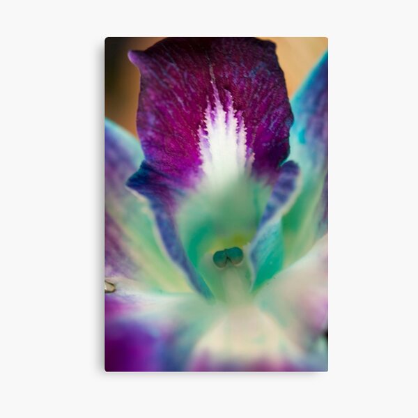 Bright Orchid Canvas Print