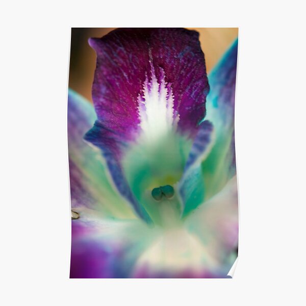 Bright Orchid Poster