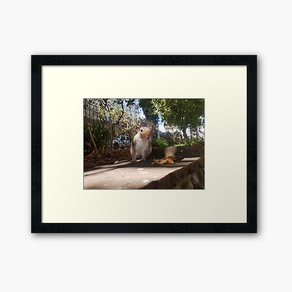 Item preview, Curious Squirrel in the Park designed and sold by LogicalDrinks.