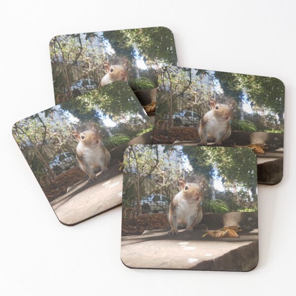 Item preview, Curious Squirrel in the Park designed and sold by LogicalDrinks.