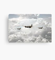 Mosquito Squadron Canvas Print
